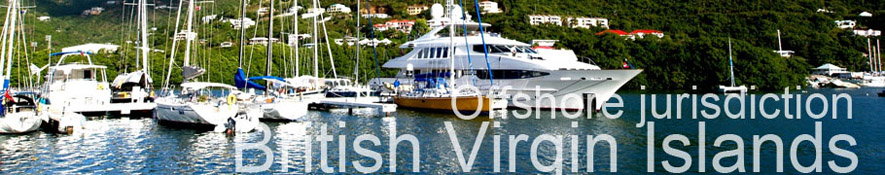 BVI international companies